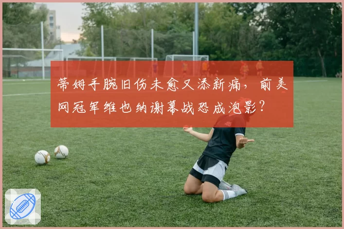蒂姆手腕旧伤未愈又添新痛，前美网冠军维也纳谢幕战恐成泡影？