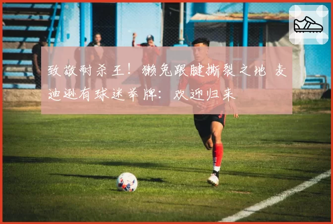 致敬耐杀王！獭兔跟腱撕裂之地 麦迪逊有球迷举牌：欢迎归来