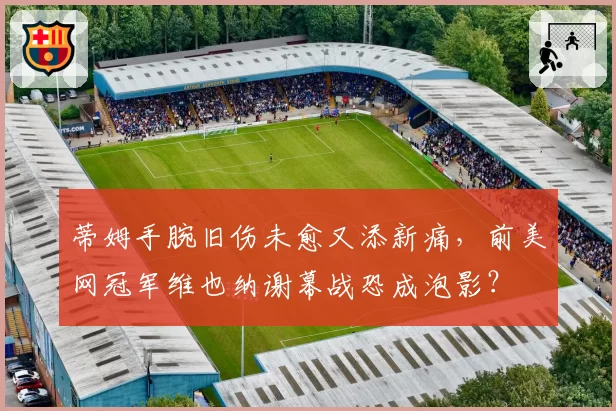 蒂姆手腕旧伤未愈又添新痛，前美网冠军维也纳谢幕战恐成泡影？