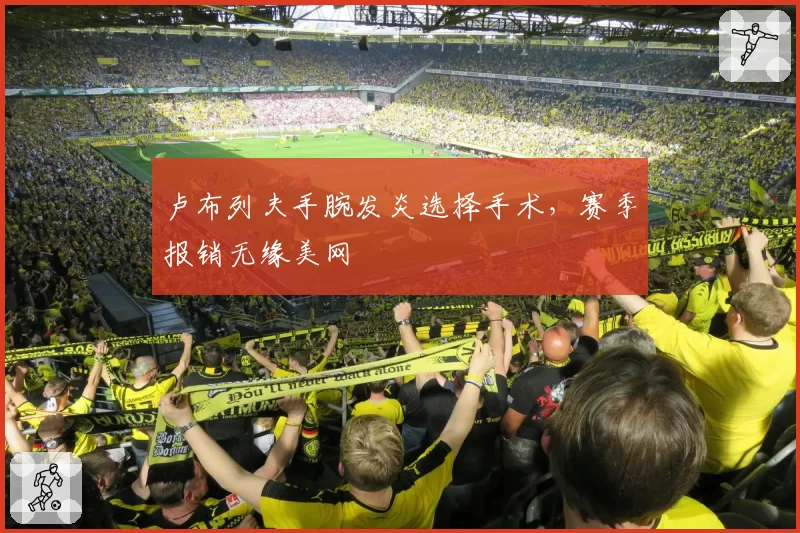 卢布列夫手腕发炎选择手术，赛季报销无缘美网