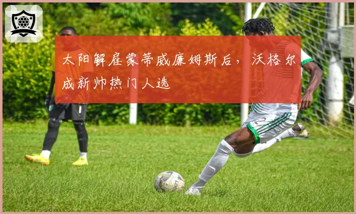 太阳解雇蒙蒂威廉姆斯后，沃格尔成新帅热门人选